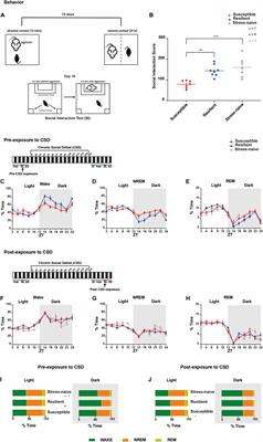 Abnormal Sleep Signals Vulnerability to Chronic Social Defeat Stress